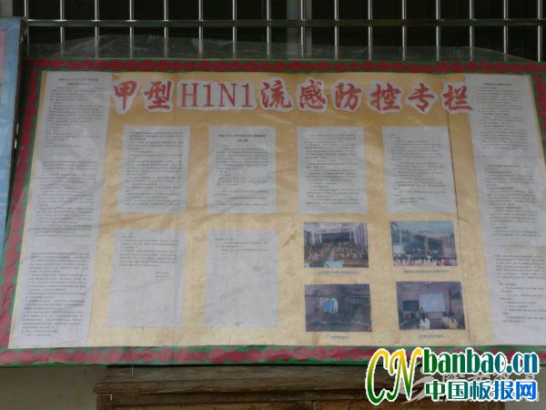 H1N1з،