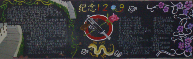 Pڼo12.9ڰ