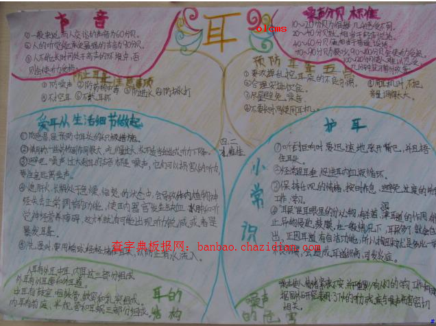 2013۶ֳ