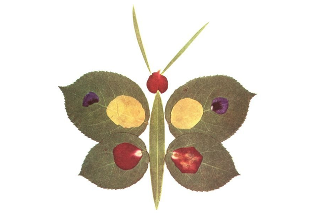 ~ճʵ