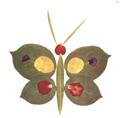 ~ճN