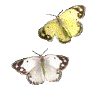 DƬc´ڴ_鿴