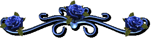 DƬc´ڴ_鿴