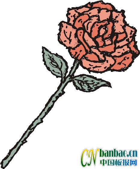 ʮڰ󻨶DFLRAL05