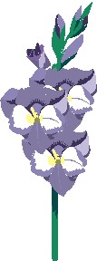 xֳûСD6