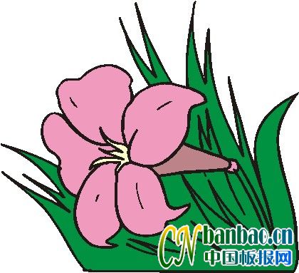 Mڰ󻨶СD4