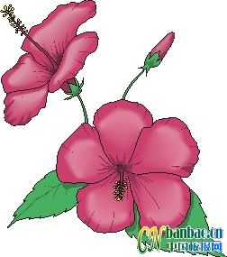 ڰDĽM