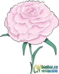 ڰDĽM
