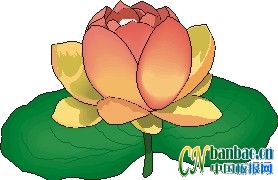 ڰDĽM