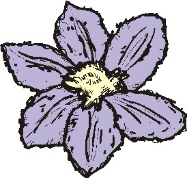 ɫȻֲ֮D5