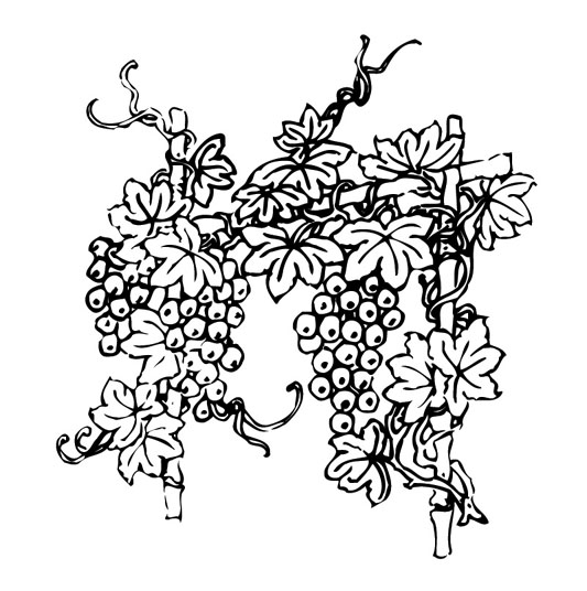 ļ:AI_huacao139.jpg  ߴ:533×536