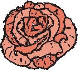 ڰûD5