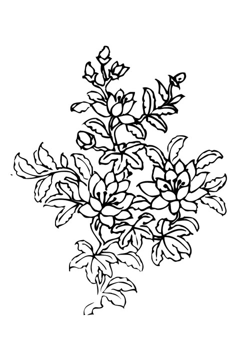 ֳûݲD-724հl