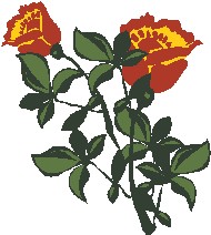 СDp