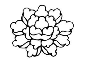 ļ:AI_huacao280.jpg  ߴ:278×222