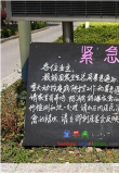 H7N9^ڰ