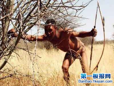 LɳĮĲBushman