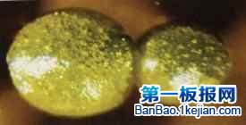 С_ֲͷN