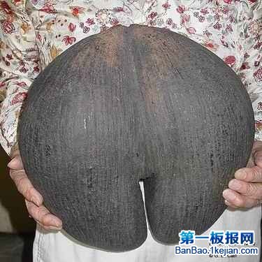 ķNӡҬӘ