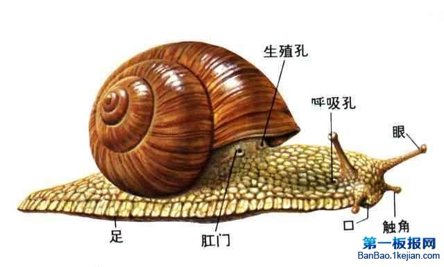 XĄ΁ţ