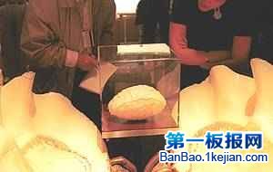 顪֮顱