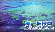 ͸ĺ^Rβ庣