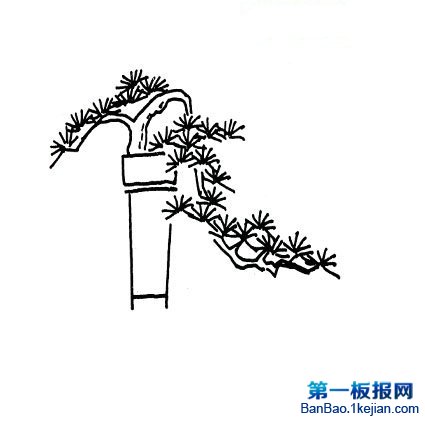 辰ɘ了PDƬ