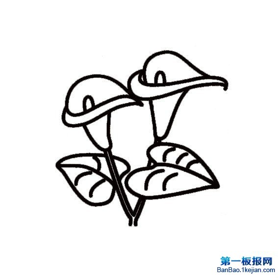 RɏPDƬ