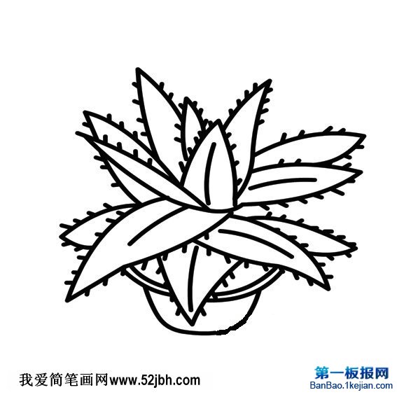 辰JCPDƬ