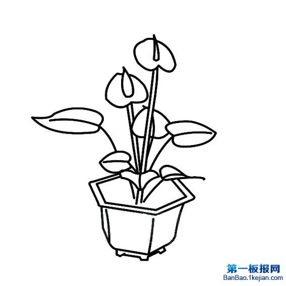 tƻPDƬ