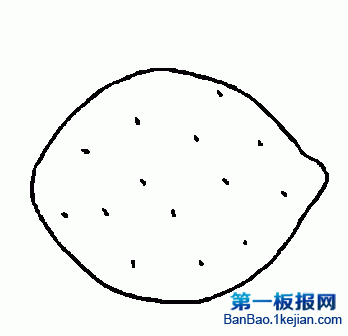 һʺPDƬ