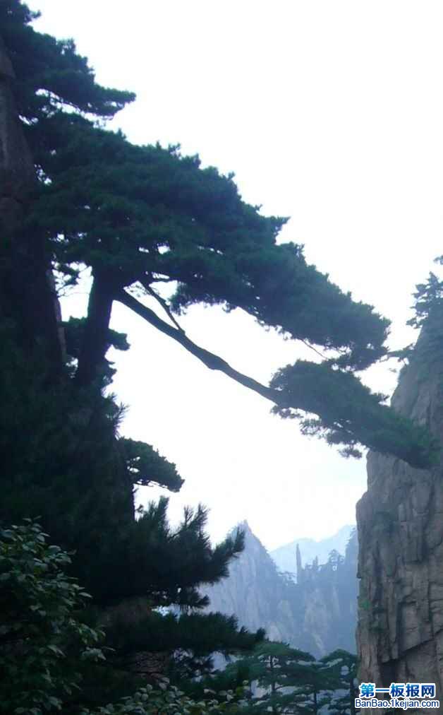 »Ęľ