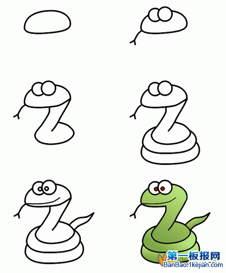 ߺP