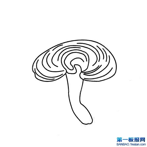 `֥P