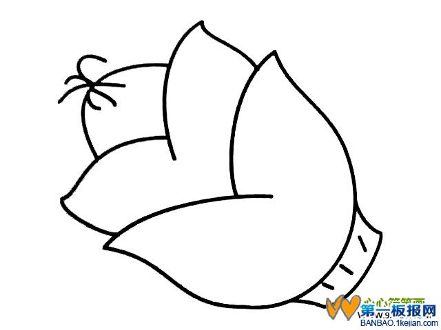 SP