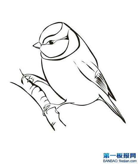 ȸP