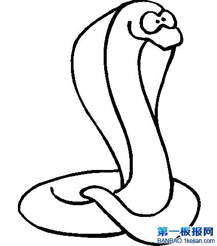 RߺP