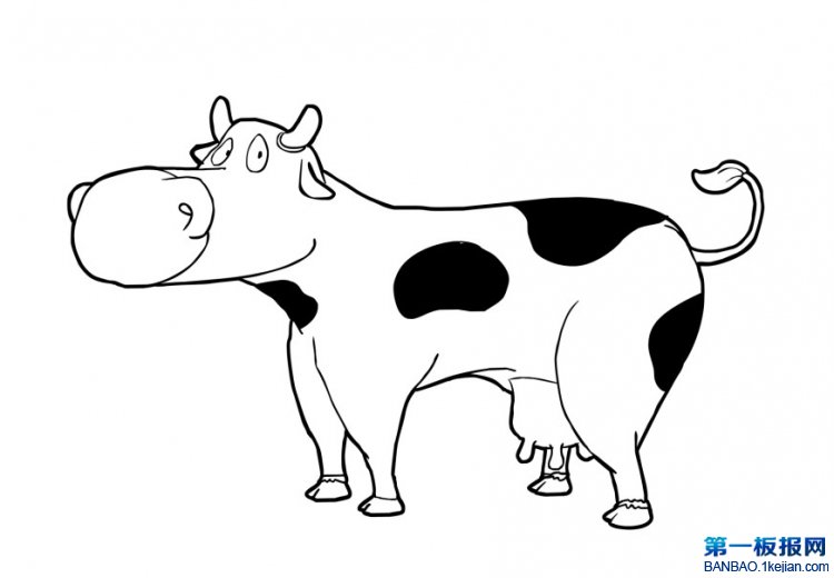 ţP