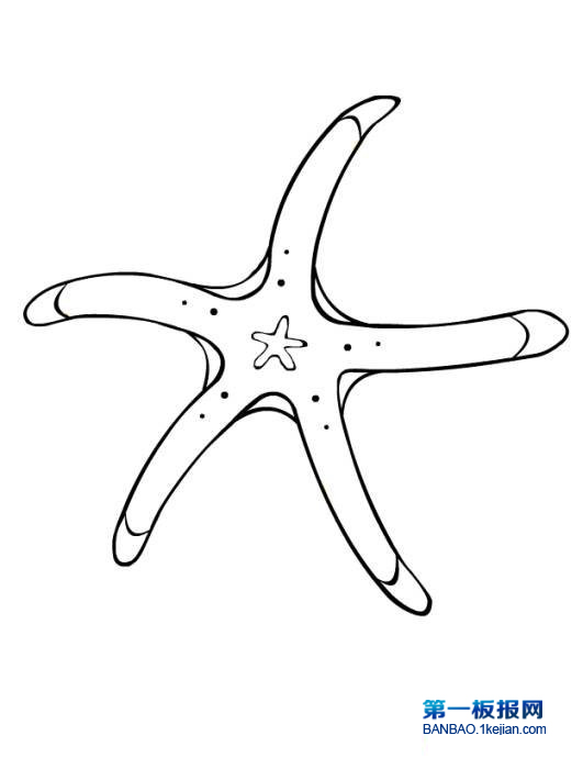 ǺP