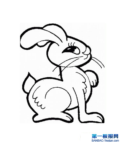 ӺP