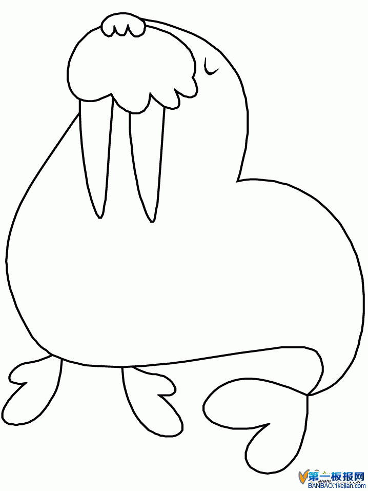 󺆹P