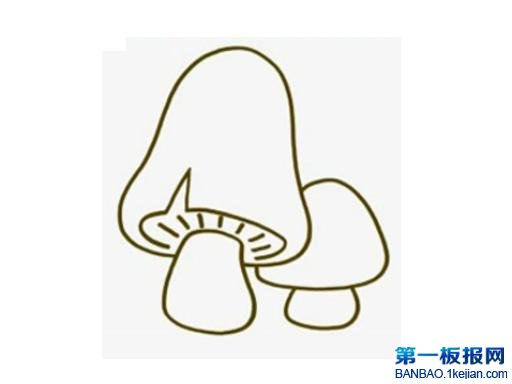 ĢPDƬ