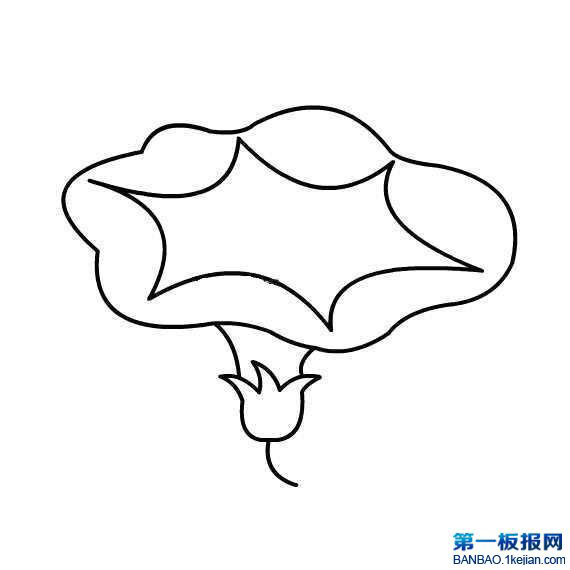 ţP