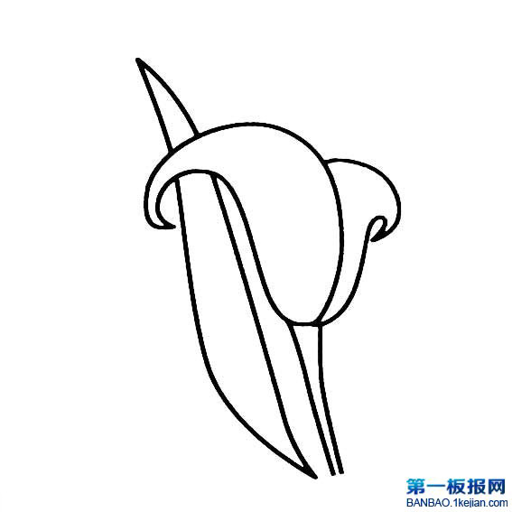 RɏPDƬ