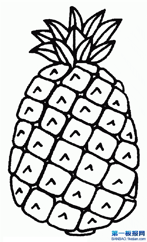 P}