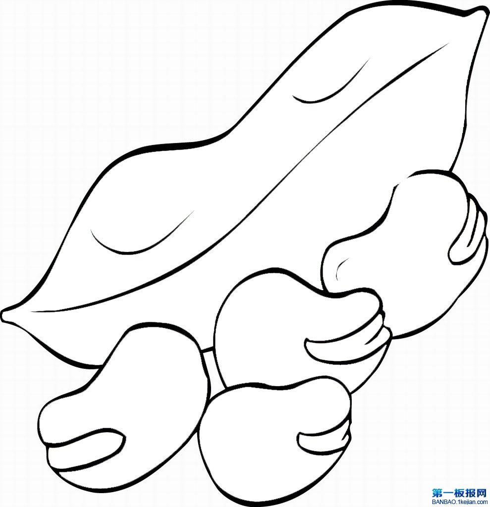 ӺP