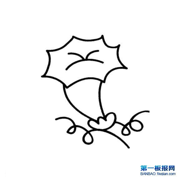 ţP
