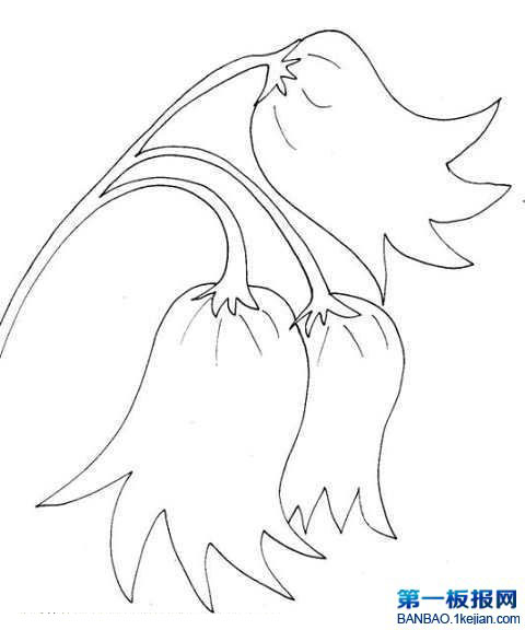 Pٺϻ