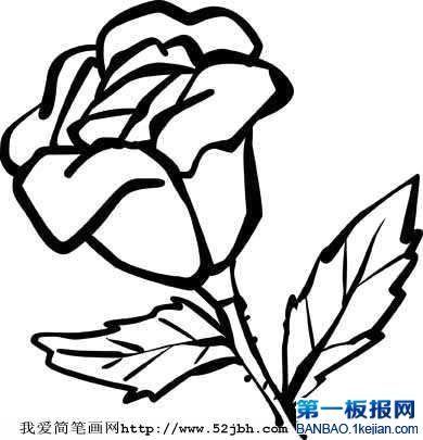 õ廨P