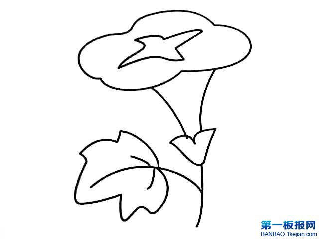 ţP
